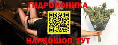 МДПВ Камышлов