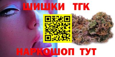 МДПВ Камышлов