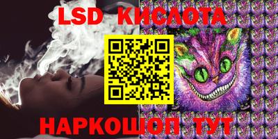 МДПВ Камышлов