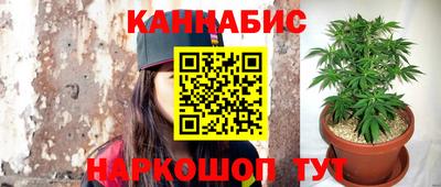 СК Канаш