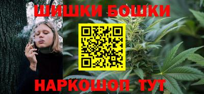 МДПВ Камышлов