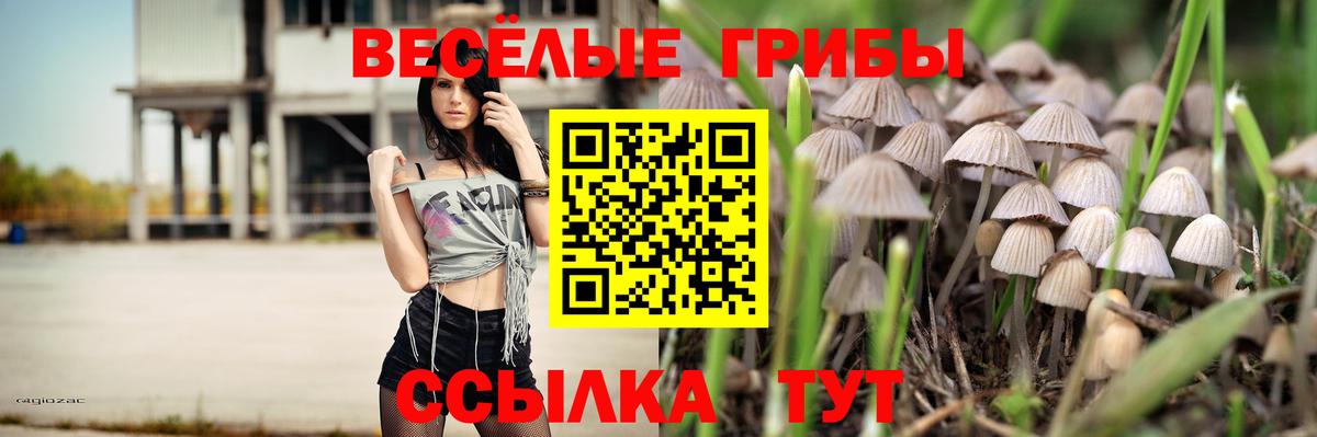 Псилоцибиновые грибы мухоморы  Галлюциногенные грибы Psilocybe  Вход с VPN  даркнет сайт  Барабинск 